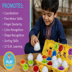 Shape and Color Matching Eggs